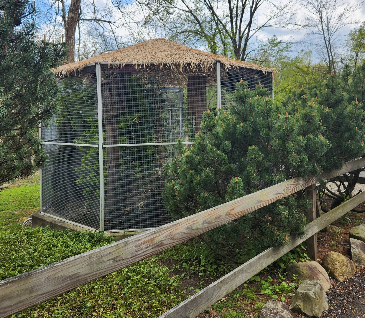 JA McFaul Environmental Center - Eastern Screech Owl enclosure