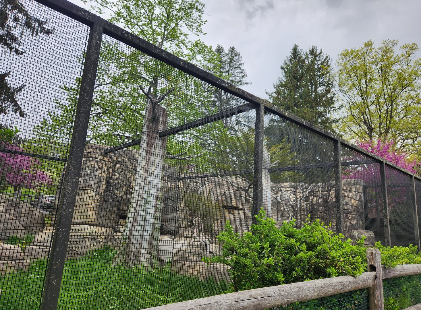 JA McFaul Environmental Center - (Former) Red Fox enclosure