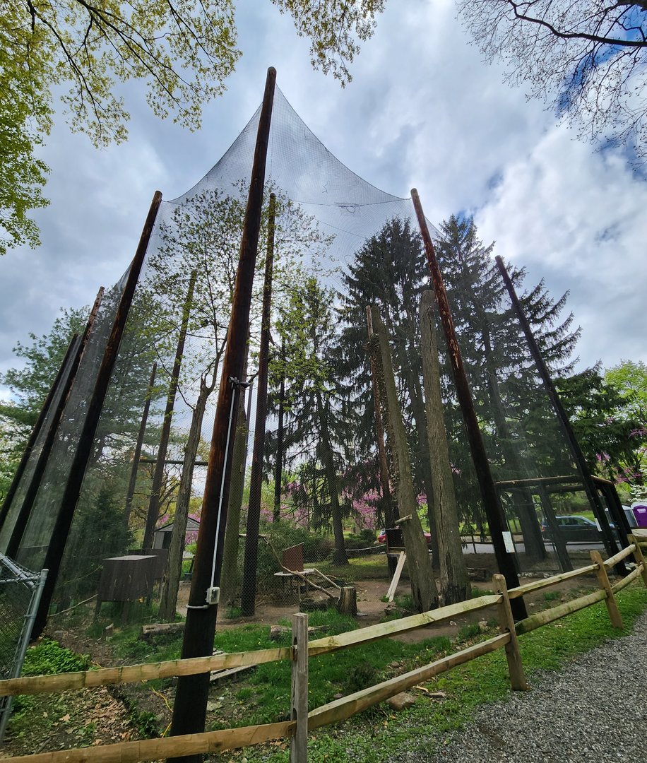 JA McFaul Environmental Center - Huge Turkey Vulture aviary