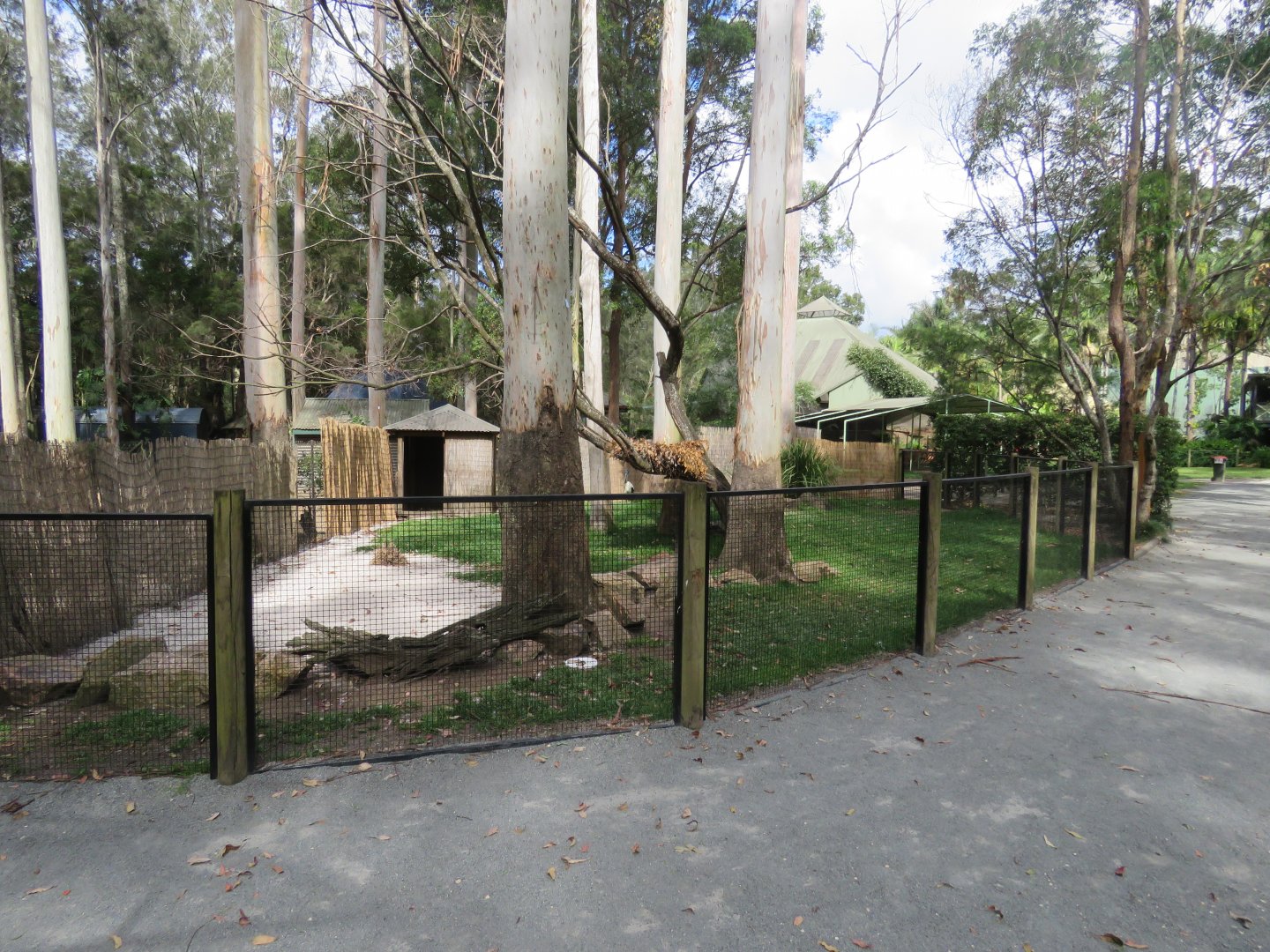 Jabiru and Pelican exhibit