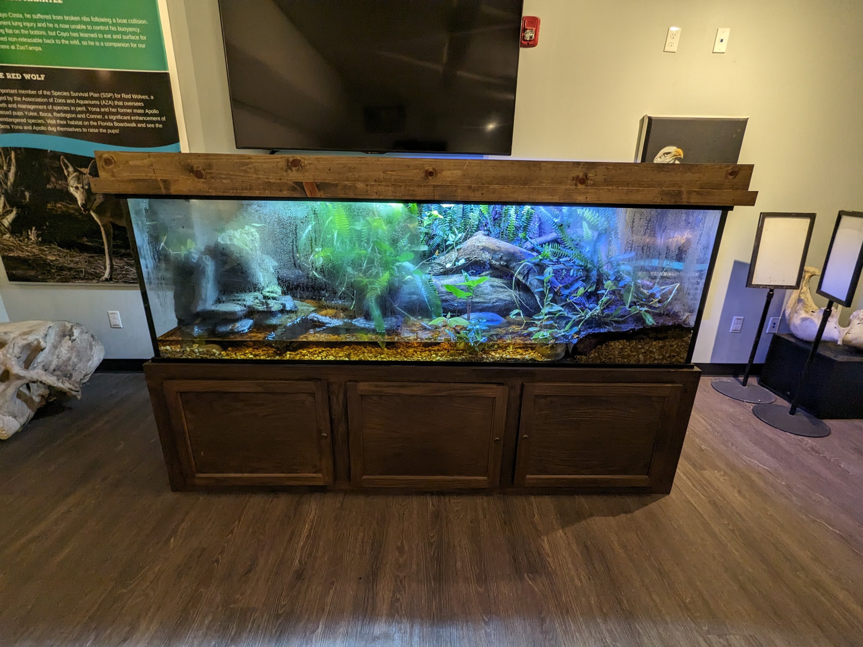 Jacarlene Foundation Animal Care Campus - Poison dart frog enclosure