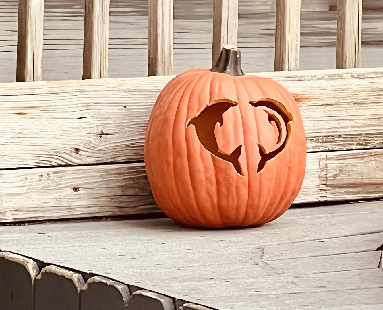 Jack-o-Lantern