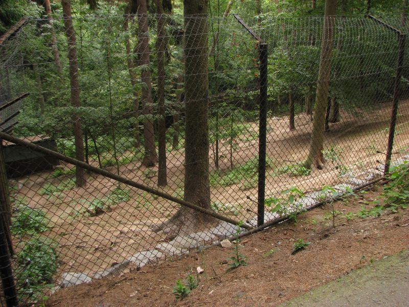Jackal enclosure at Zoo Olomouc