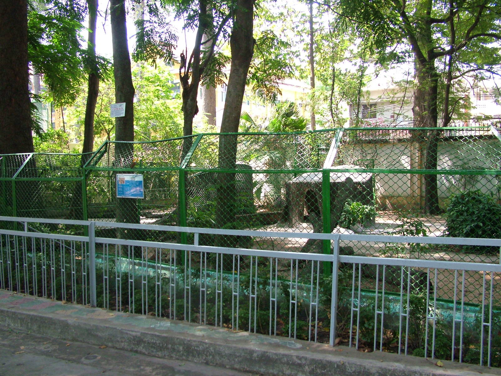 Jackal Exhibit at Saigon Zoo, 16/03/12