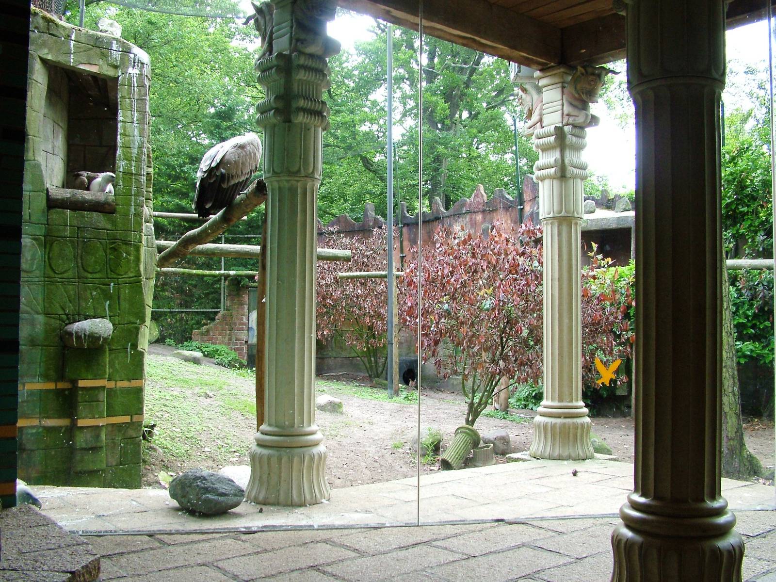 Jackal/Vulture Exhibit at Amersfoort, 01/06/12