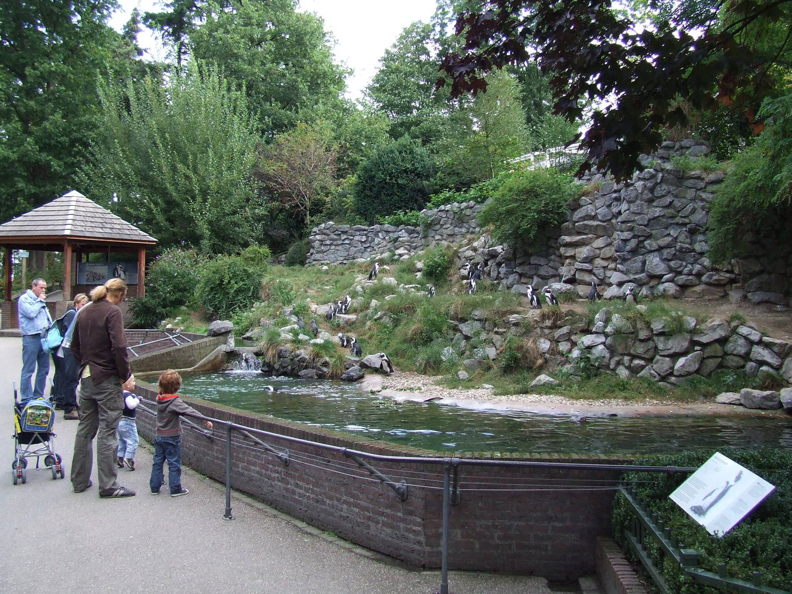 Jackass Penguin exhibit