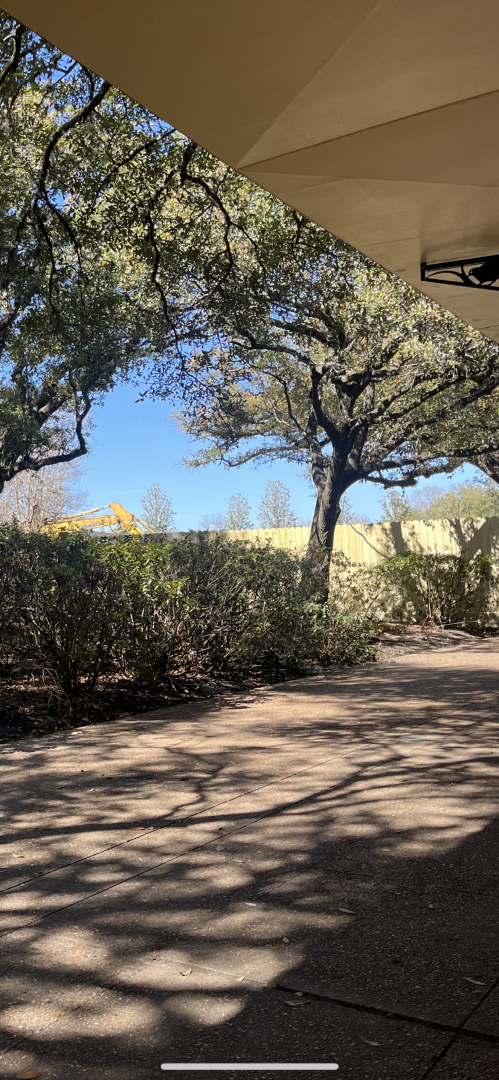 Jacks Cafe construction