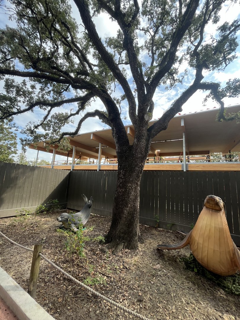 Jack’s Cafe construction