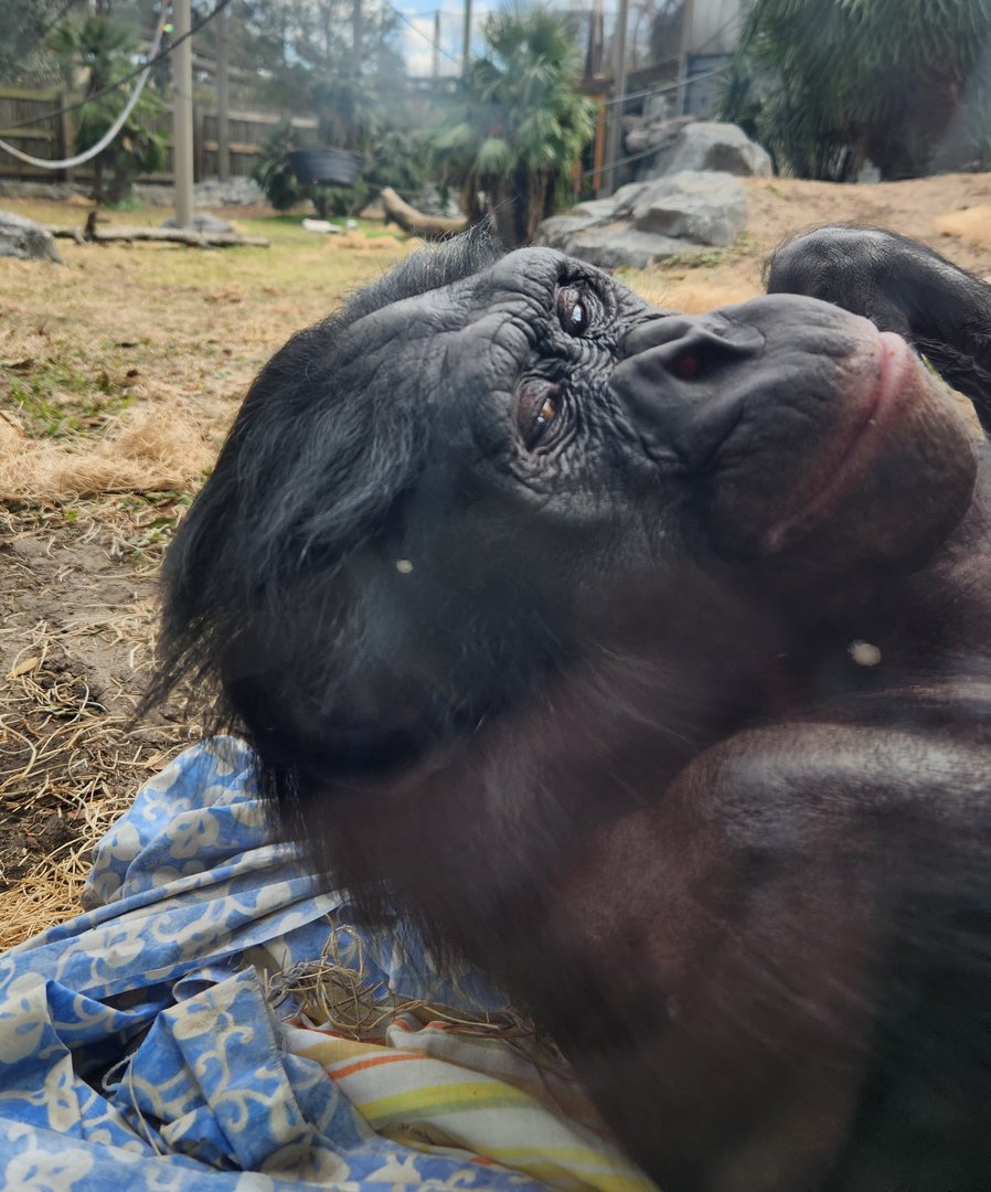 Jacksonville Zoo (2023) - Smiling for a photo