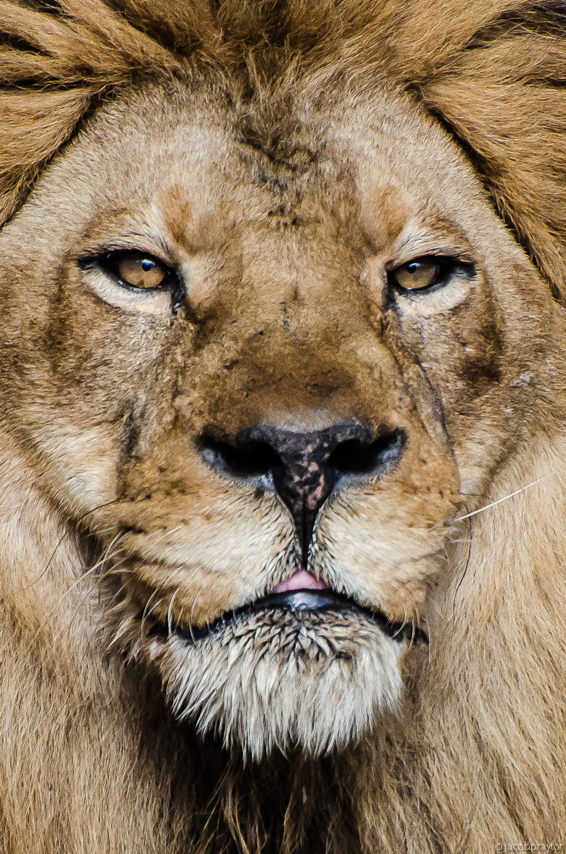 Jacksonville Zoo and Gardens