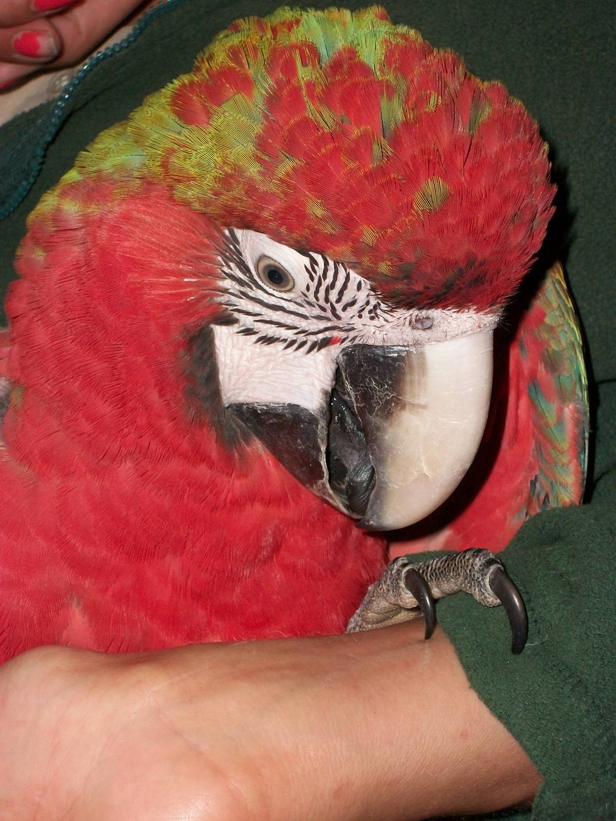 Jacky, 9th June 2014