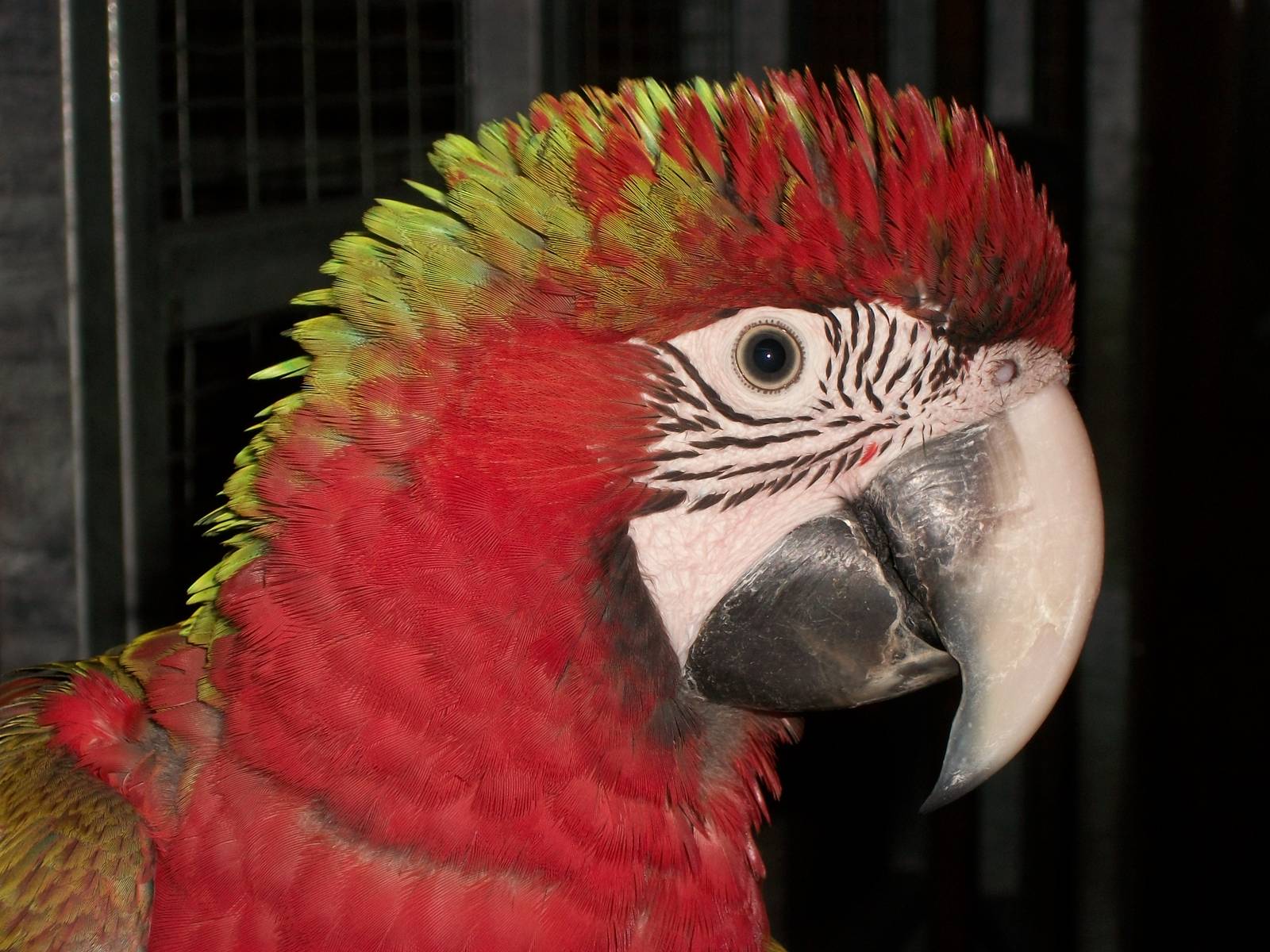 Jacky, 9th June 2014