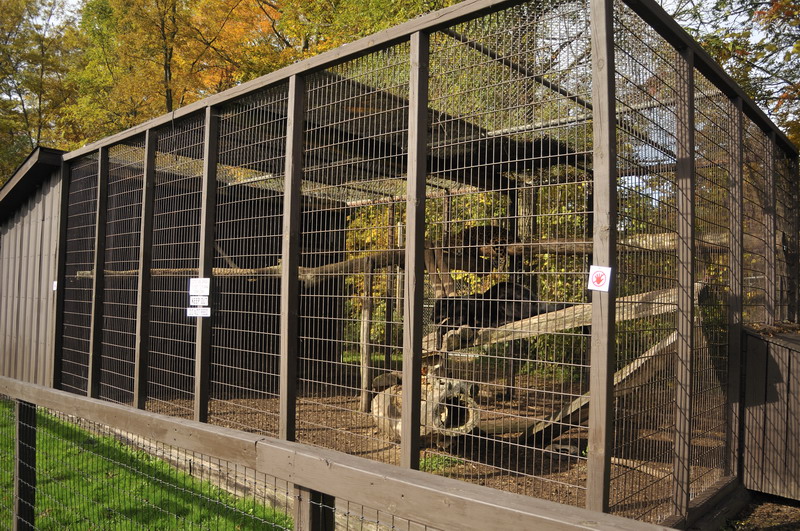 Jagaurcage at Twin Vally Zoo