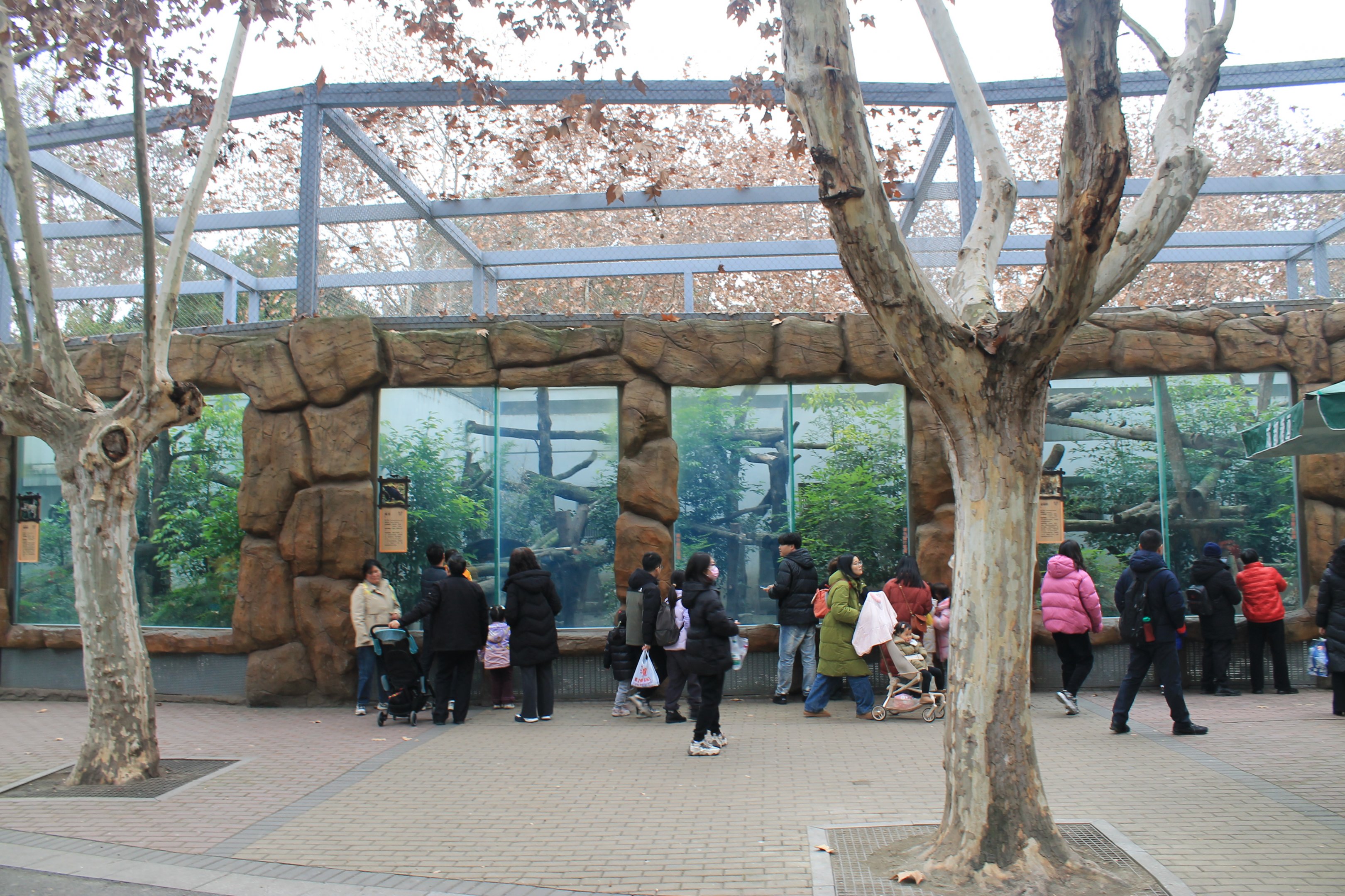 Jaguar and Leopard enclosures