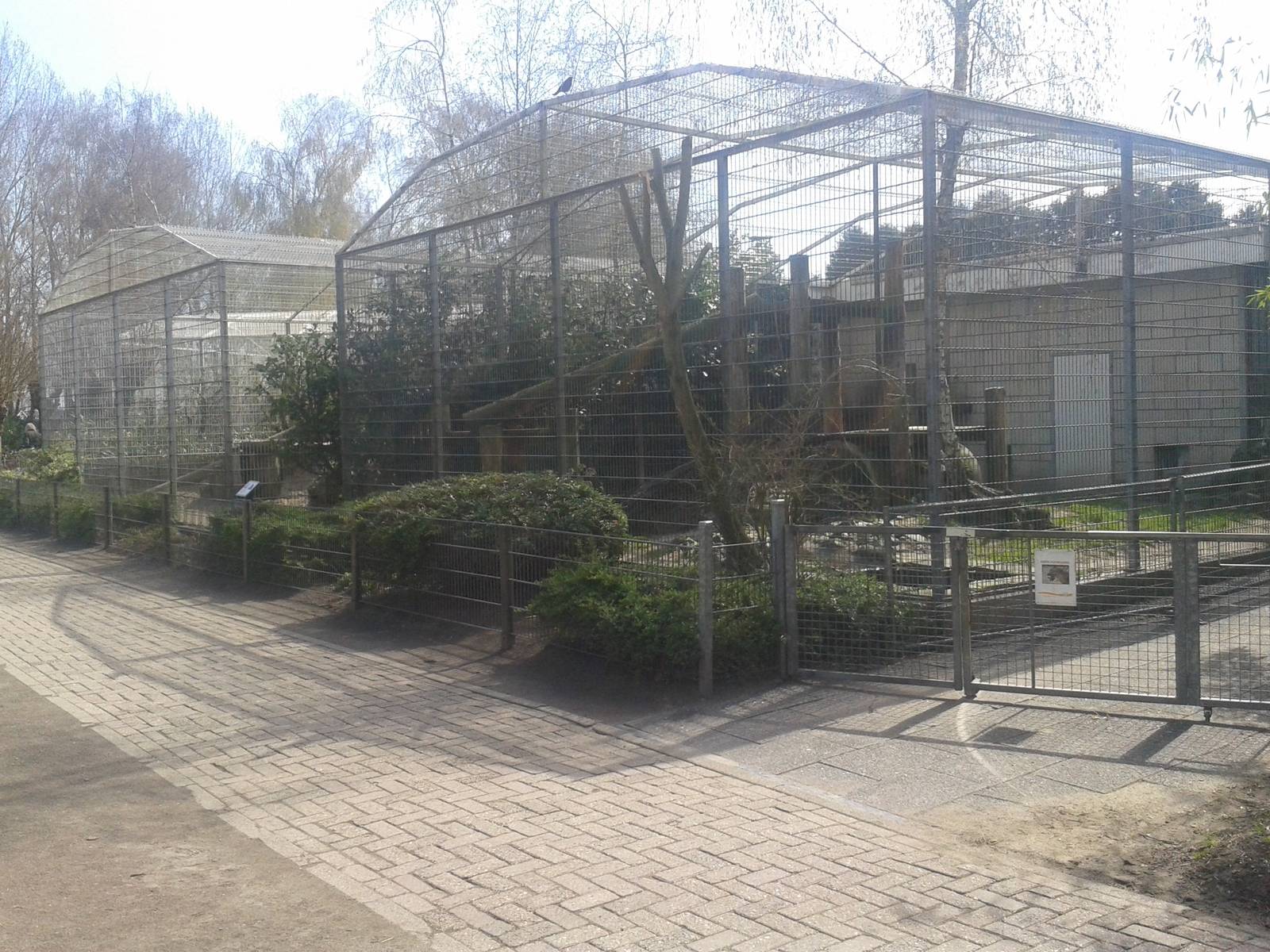 Jaguar and puma enclosure