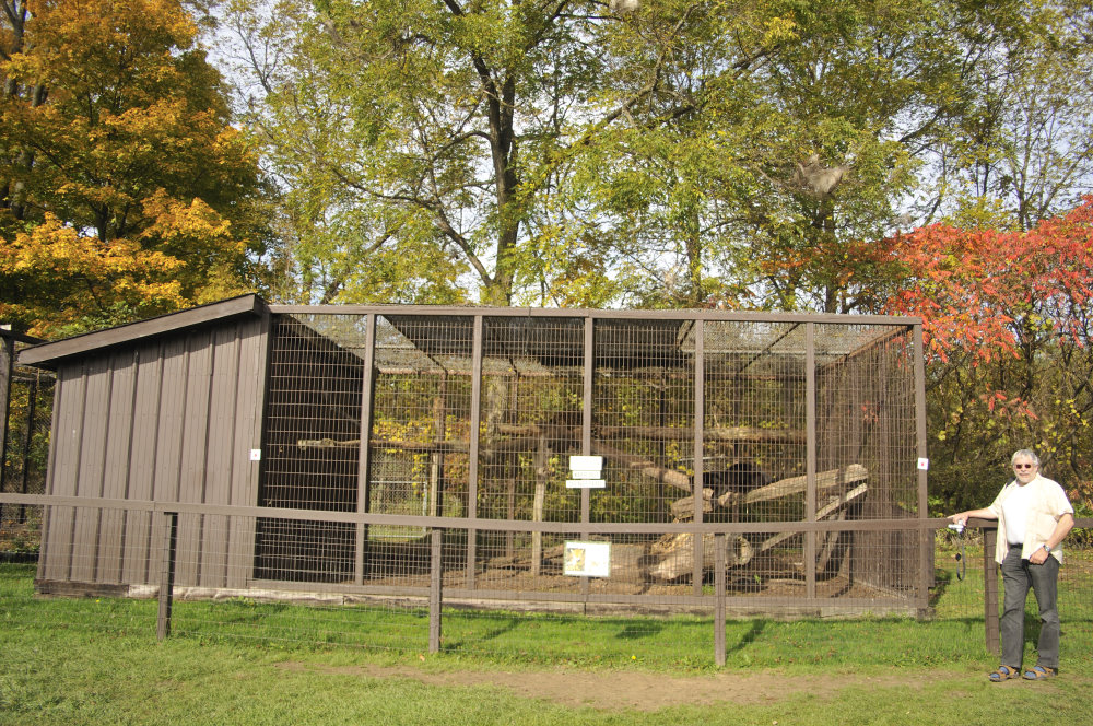 Jaguar-Cage in Twin-Vally-Zoo