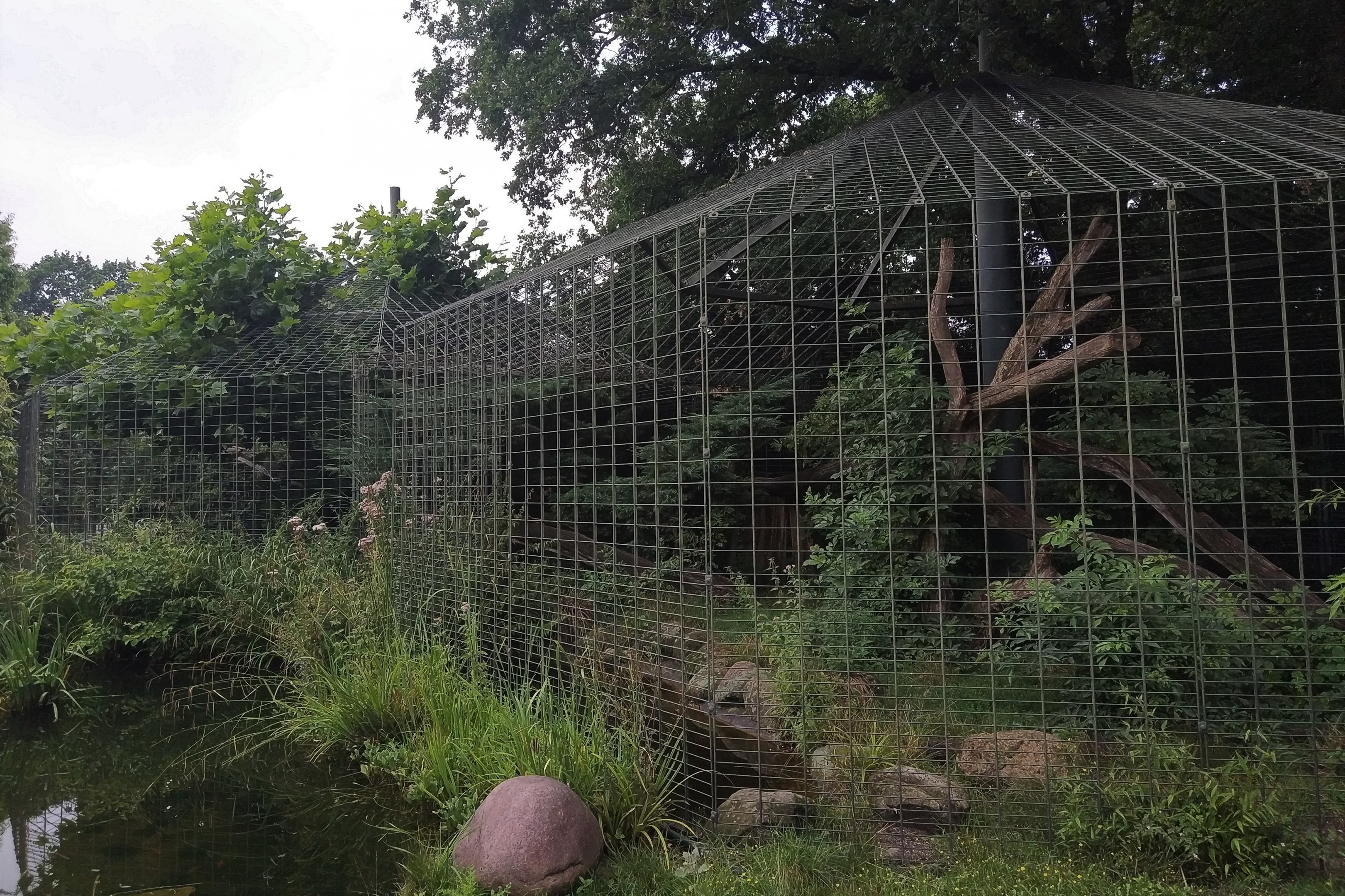 Jaguar Cage