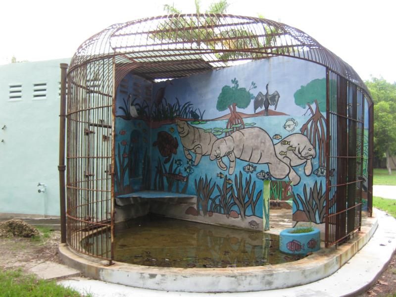 Jaguar cage