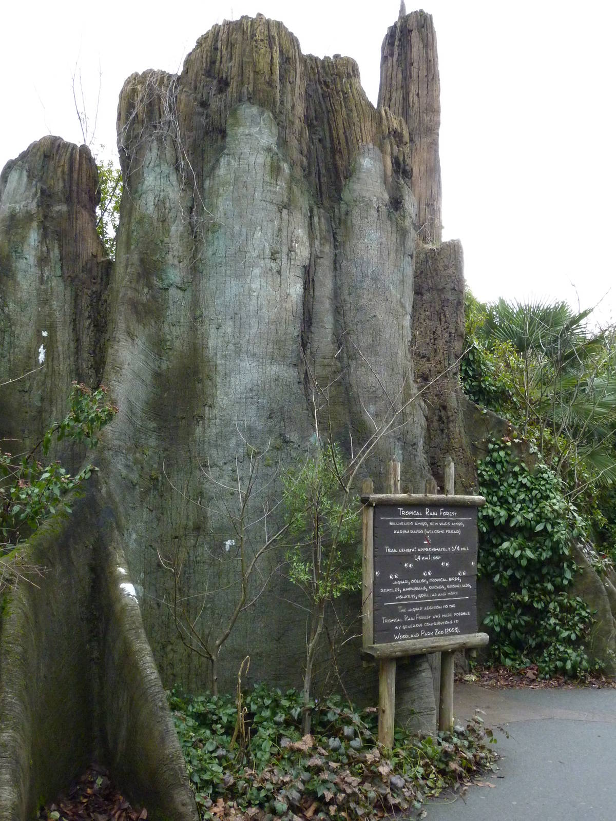 Jaguar Cove - Entrance