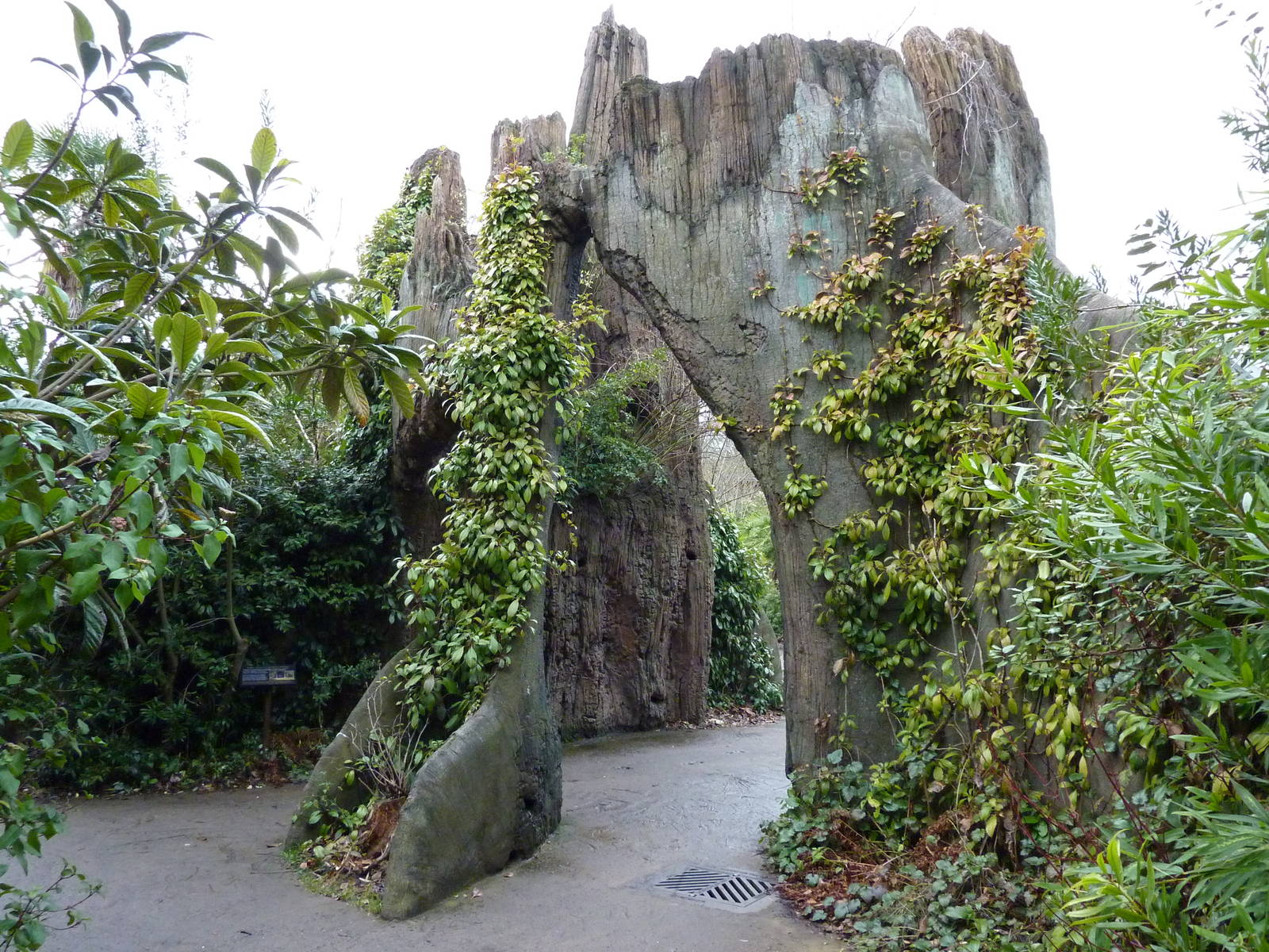 Jaguar Cove - Entrance