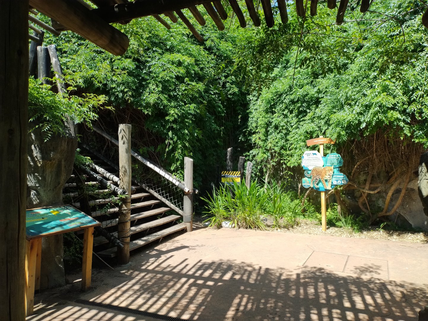 Jaguar educational setup - Temaiken