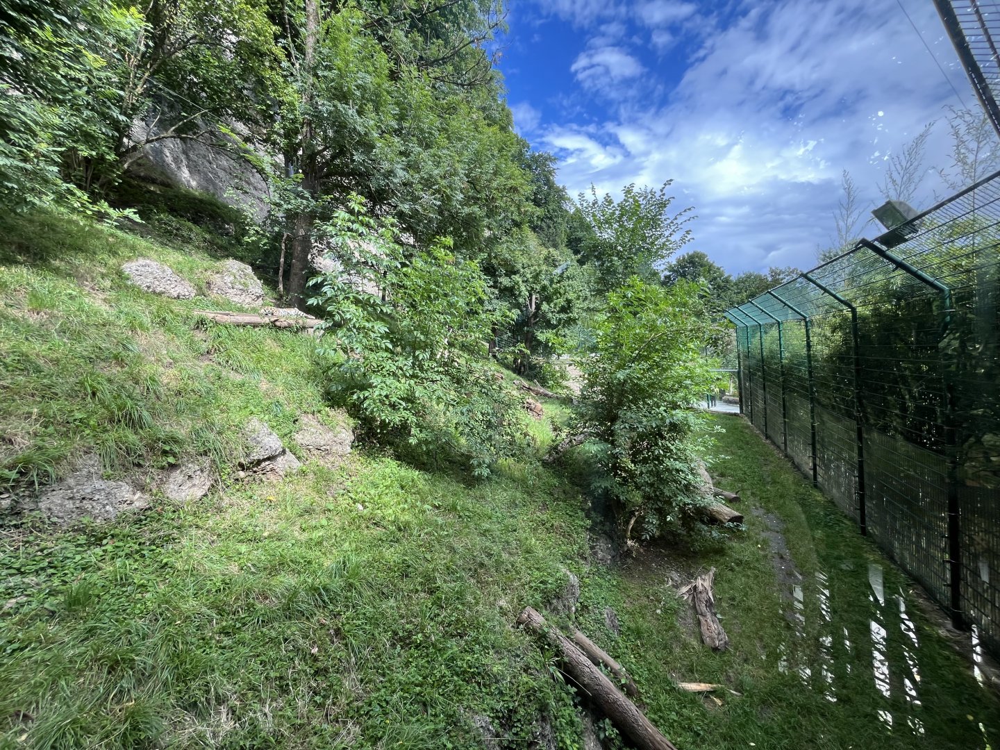 Jaguar enclosure 0.5 13.7.25