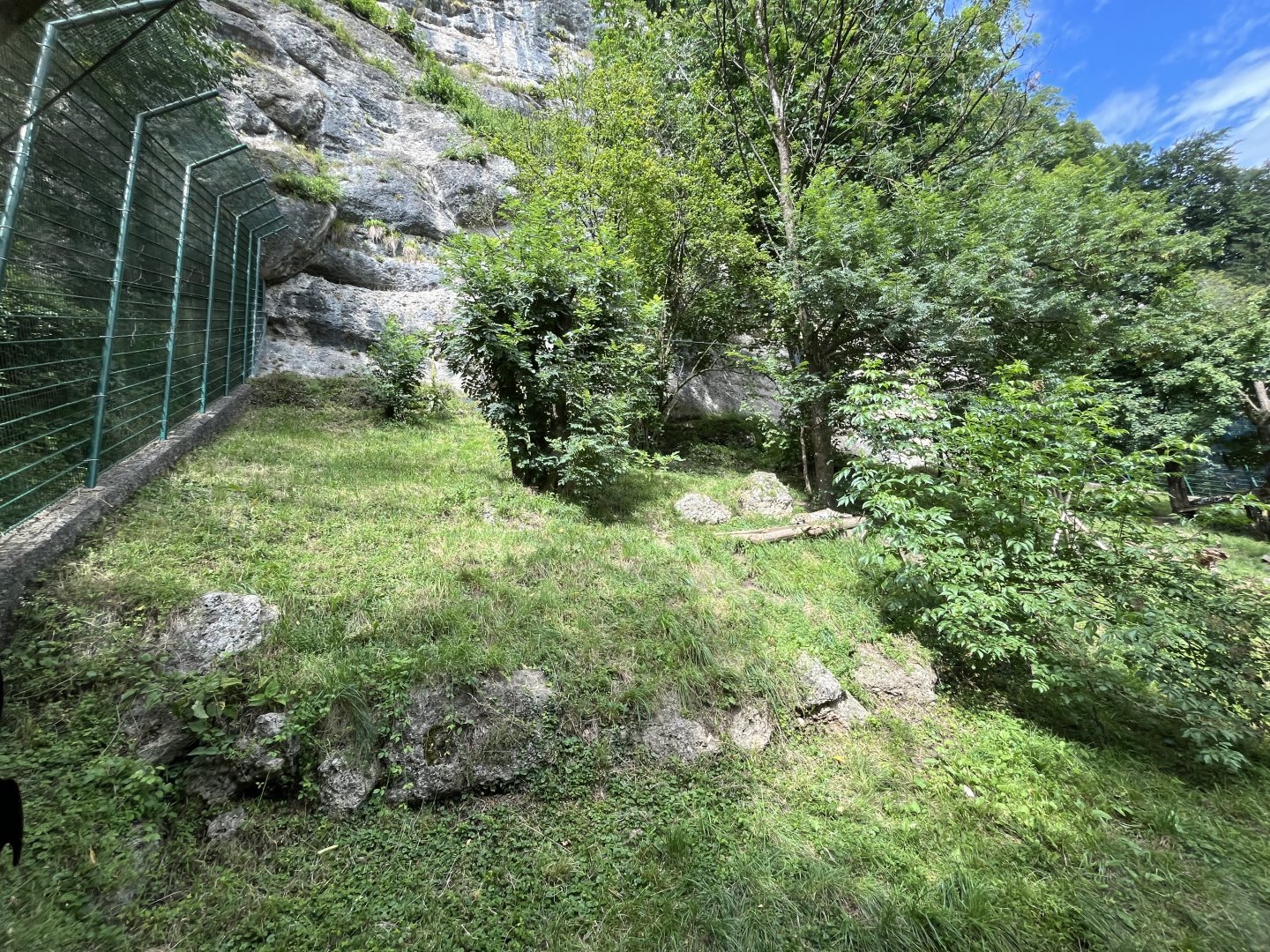 Jaguar enclosure 0.5 13.7.25