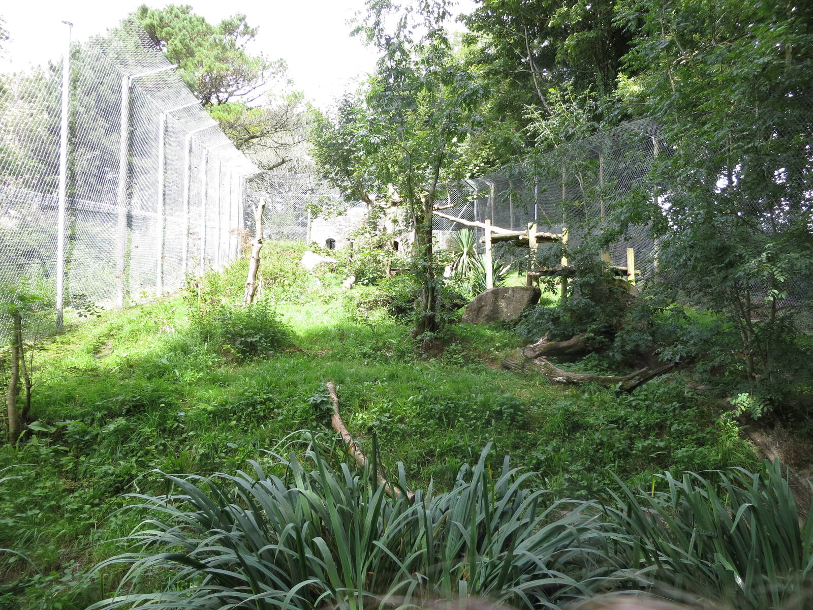 jaguar enclosure 020913