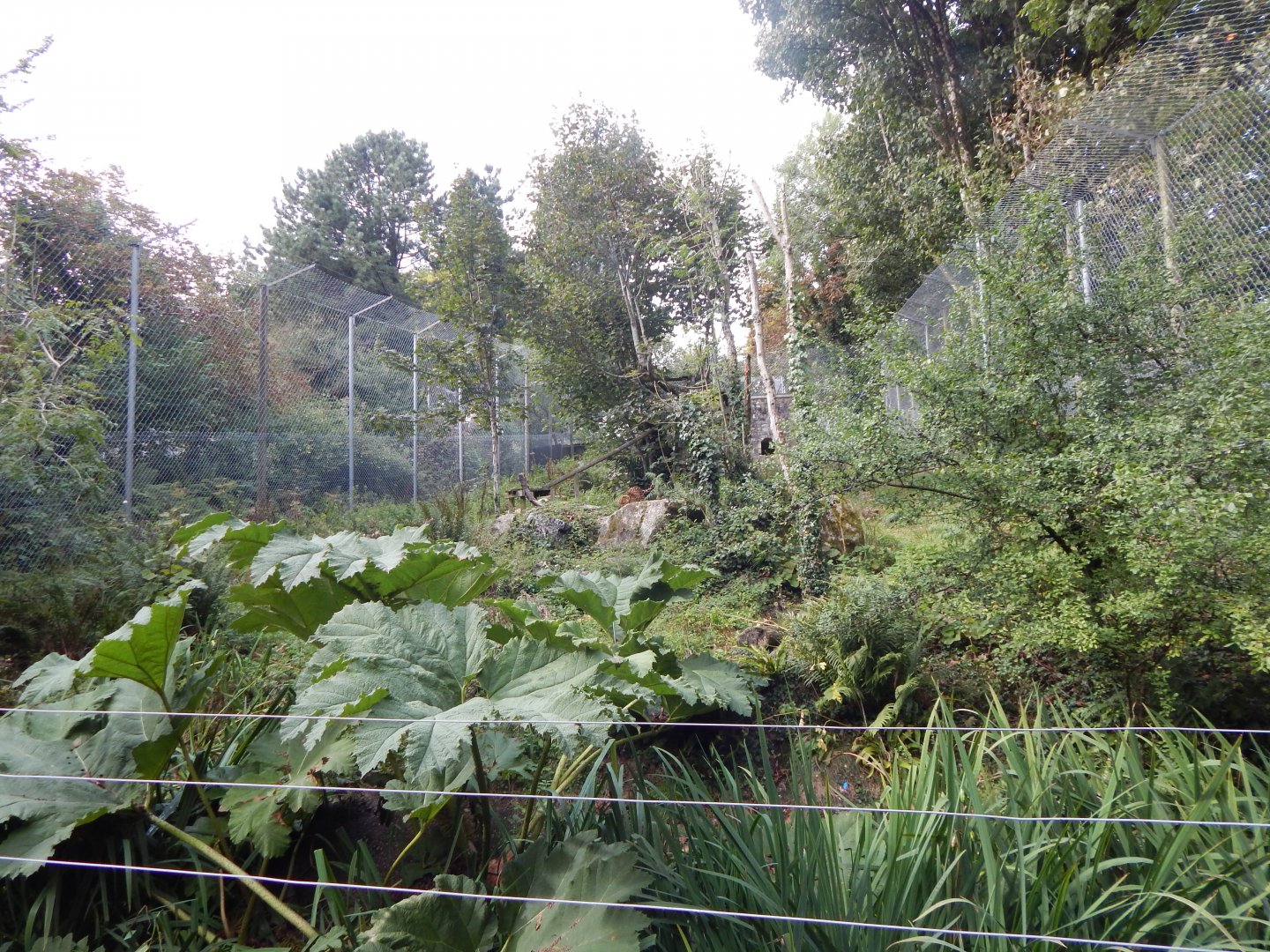 Jaguar enclosure 050925
