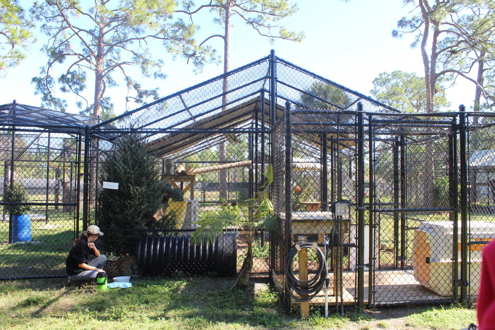 Jaguar Enclosure (1 of 3)