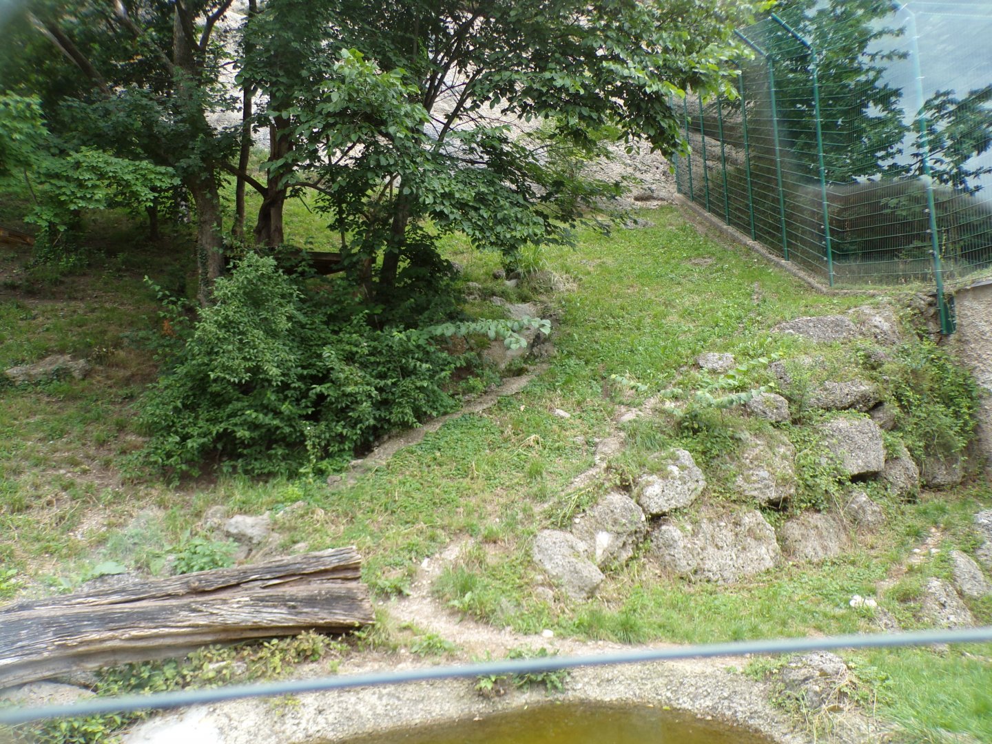 Jaguar enclosure 13.7.25