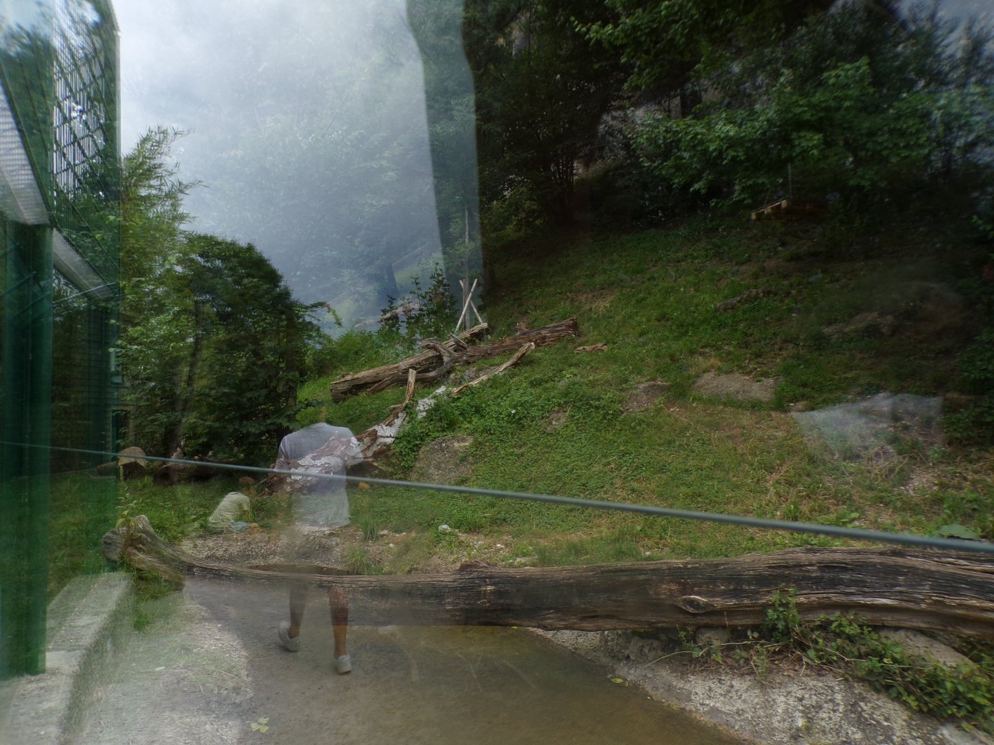 Jaguar enclosure 13.7.25