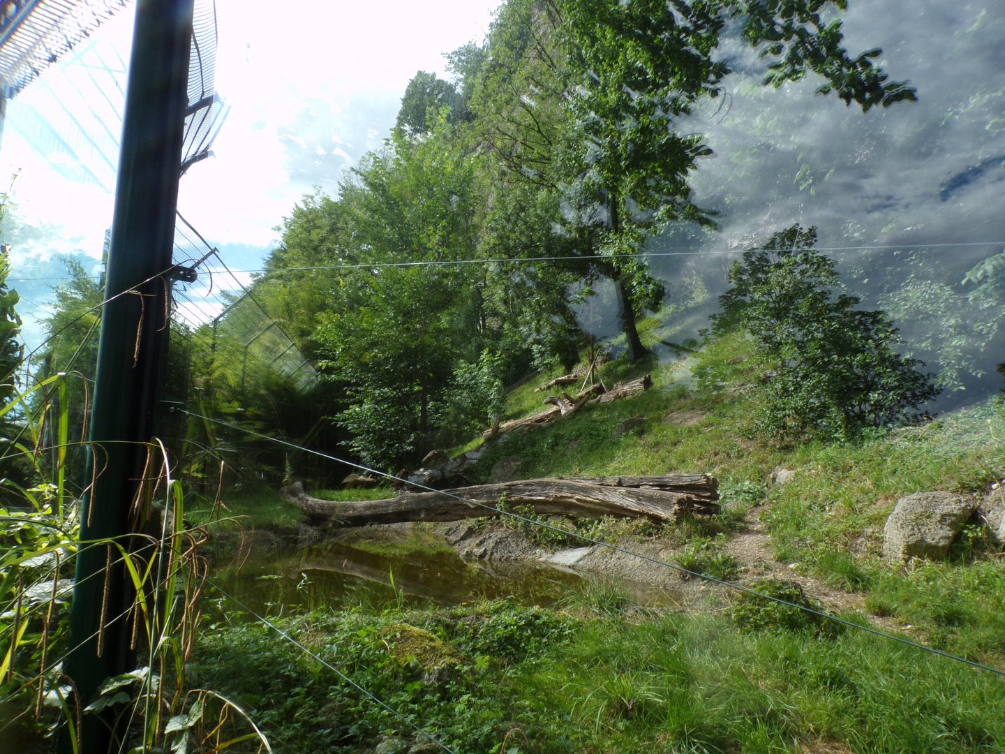 Jaguar enclosure 13.7.25