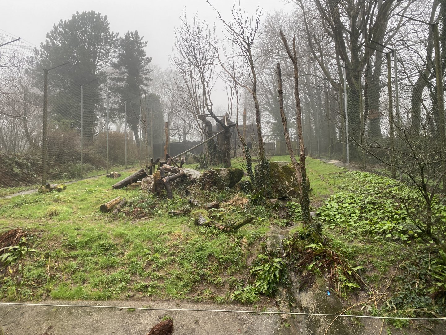 Jaguar enclosure 140224