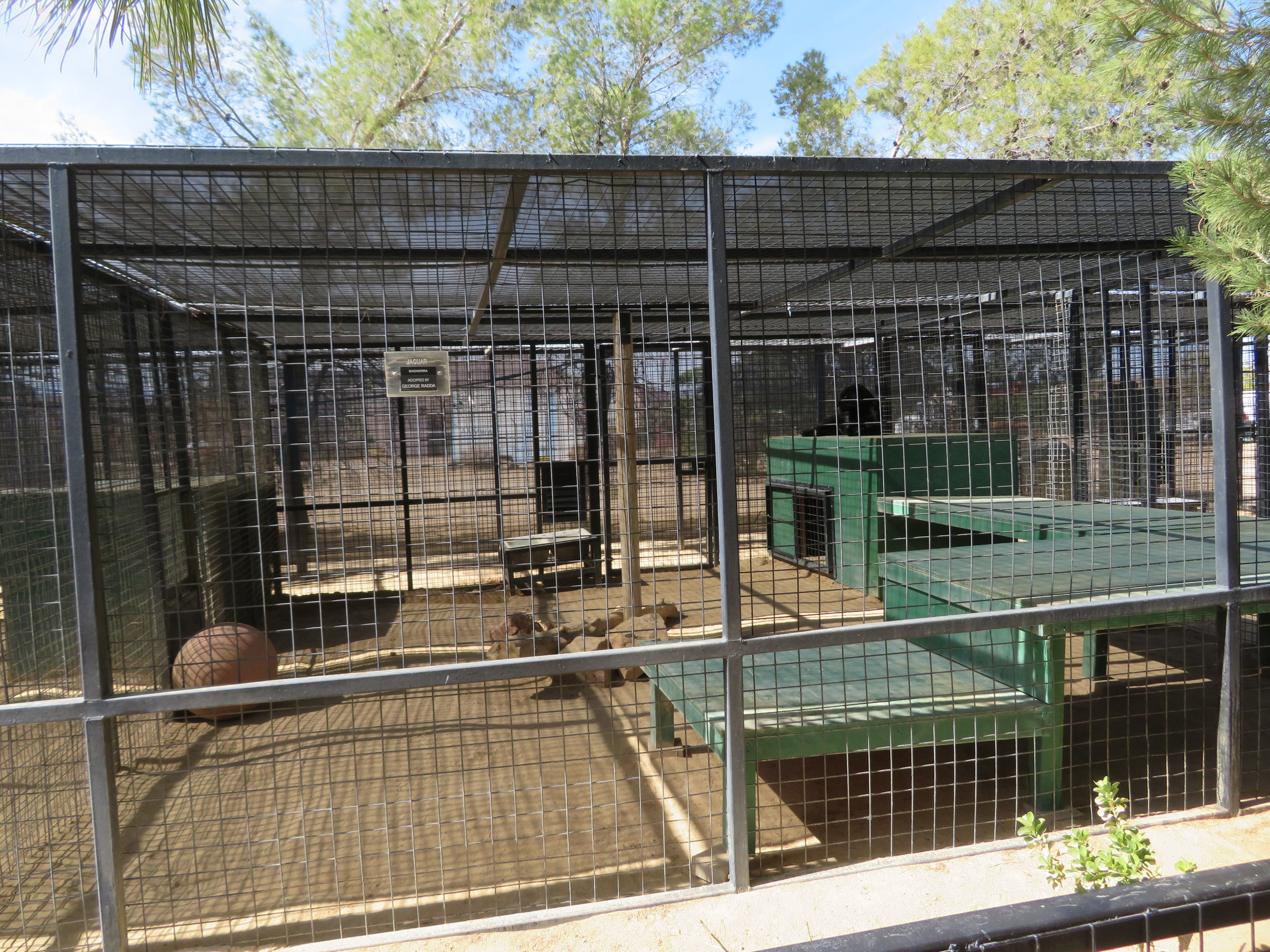 Jaguar Enclosure (2022)