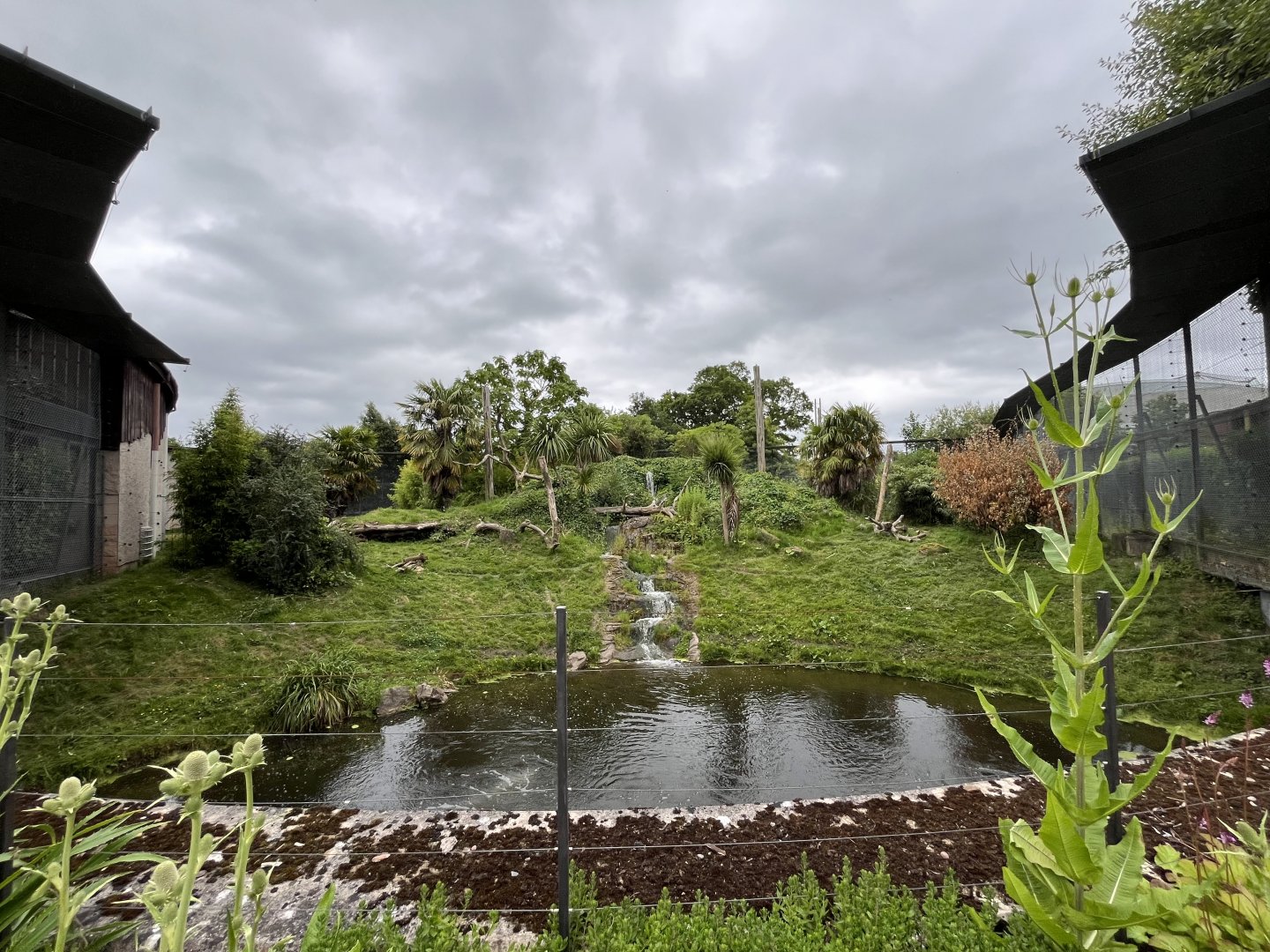 Jaguar enclosure 29.6.24