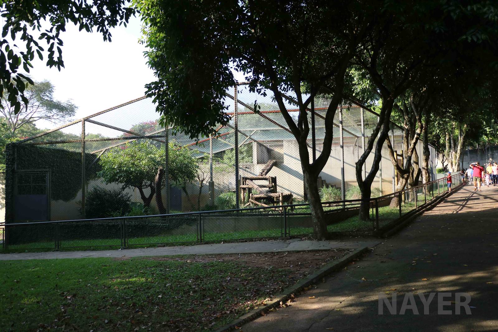 Jaguar enclosure, April 2016