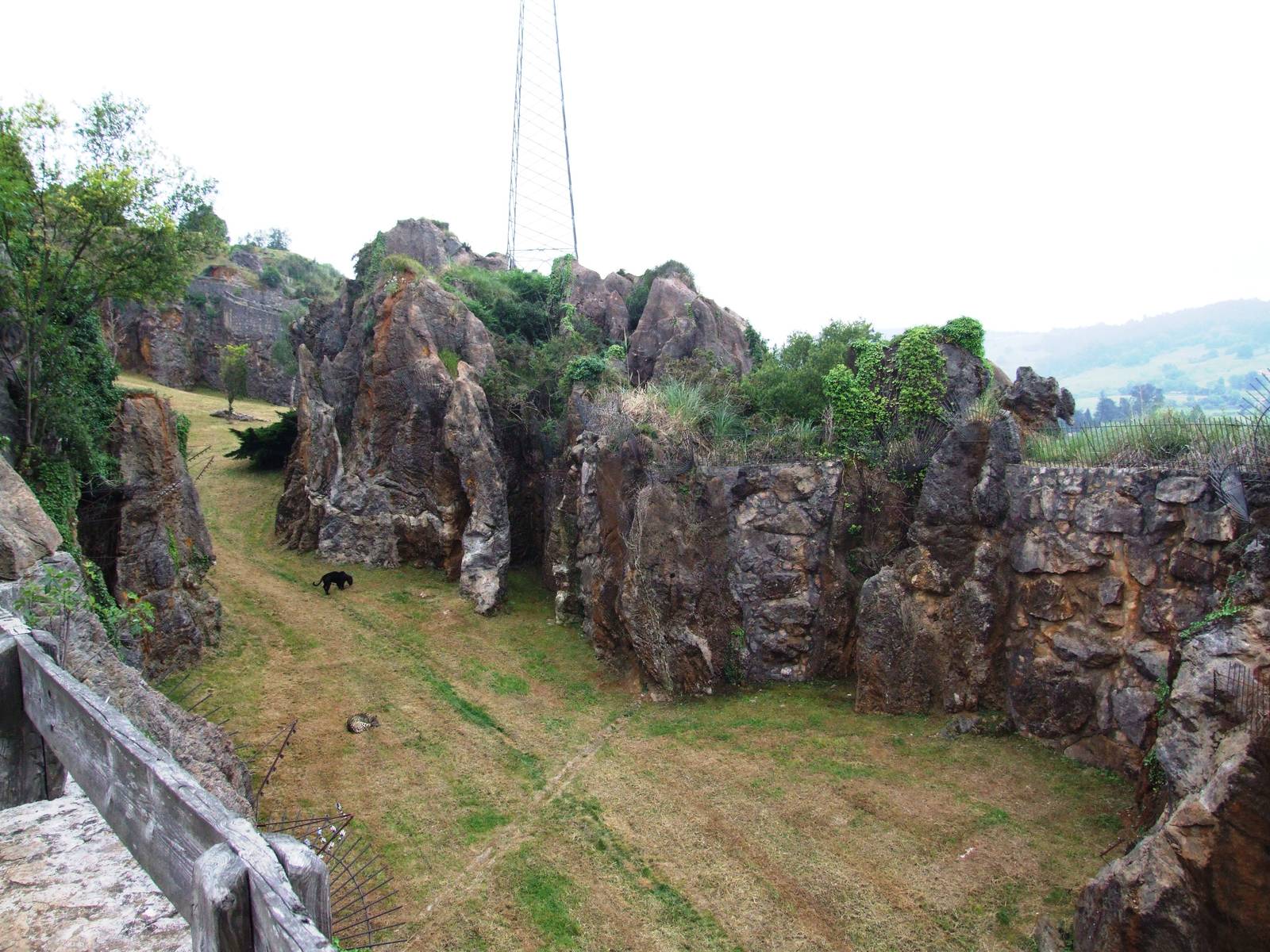 Jaguar Enclosure at Cabarceno, 11/06/15