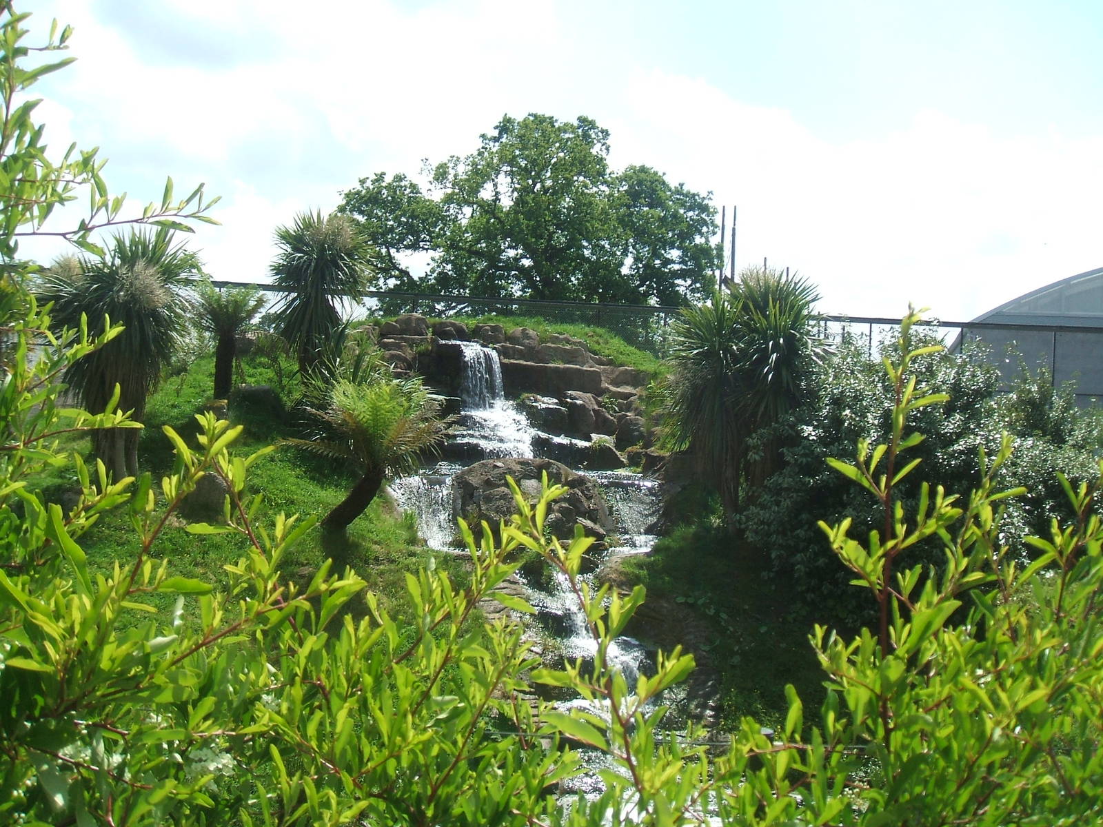 Jaguar enclosure at Chester Zoo