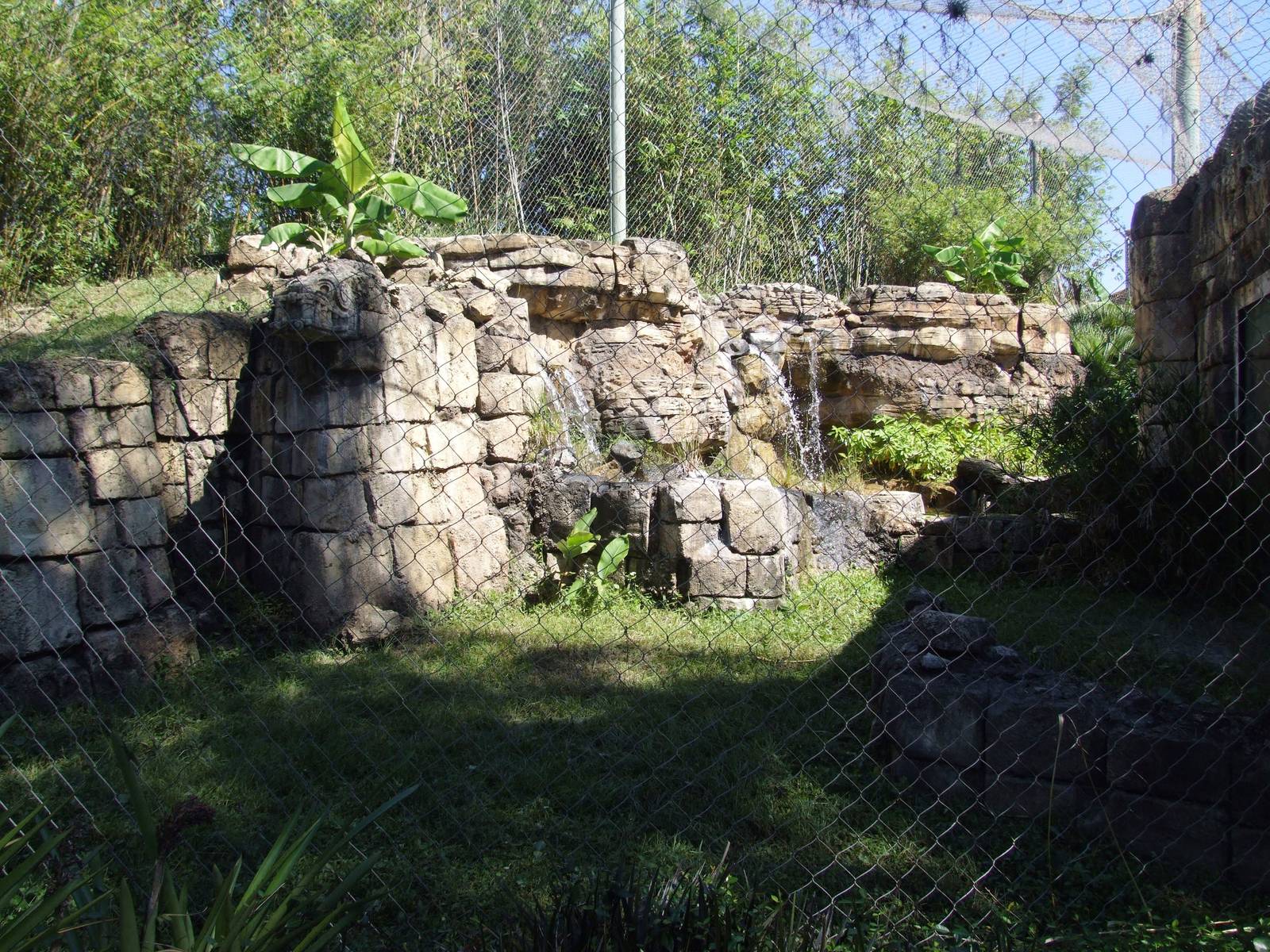 Jaguar Enclosure at Jacksonville, 10/10/13