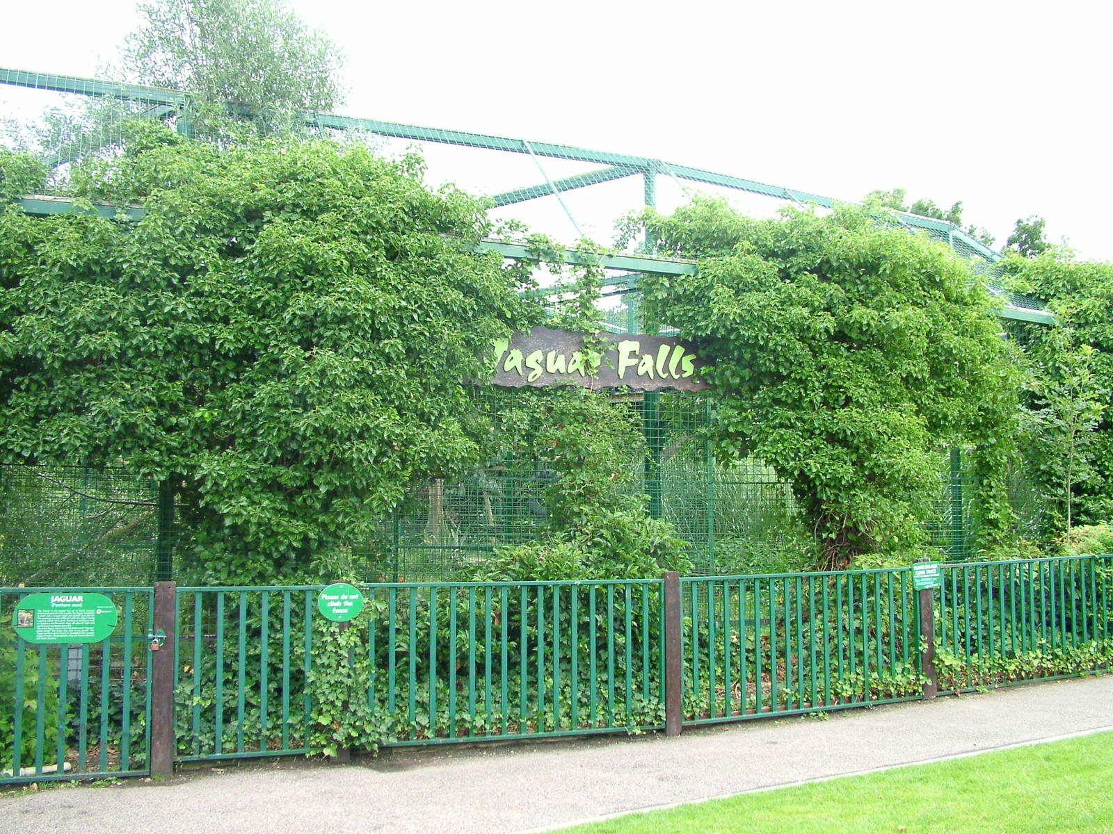 Jaguar enclosure at Paradise WP, Broxbourne 25/07/09