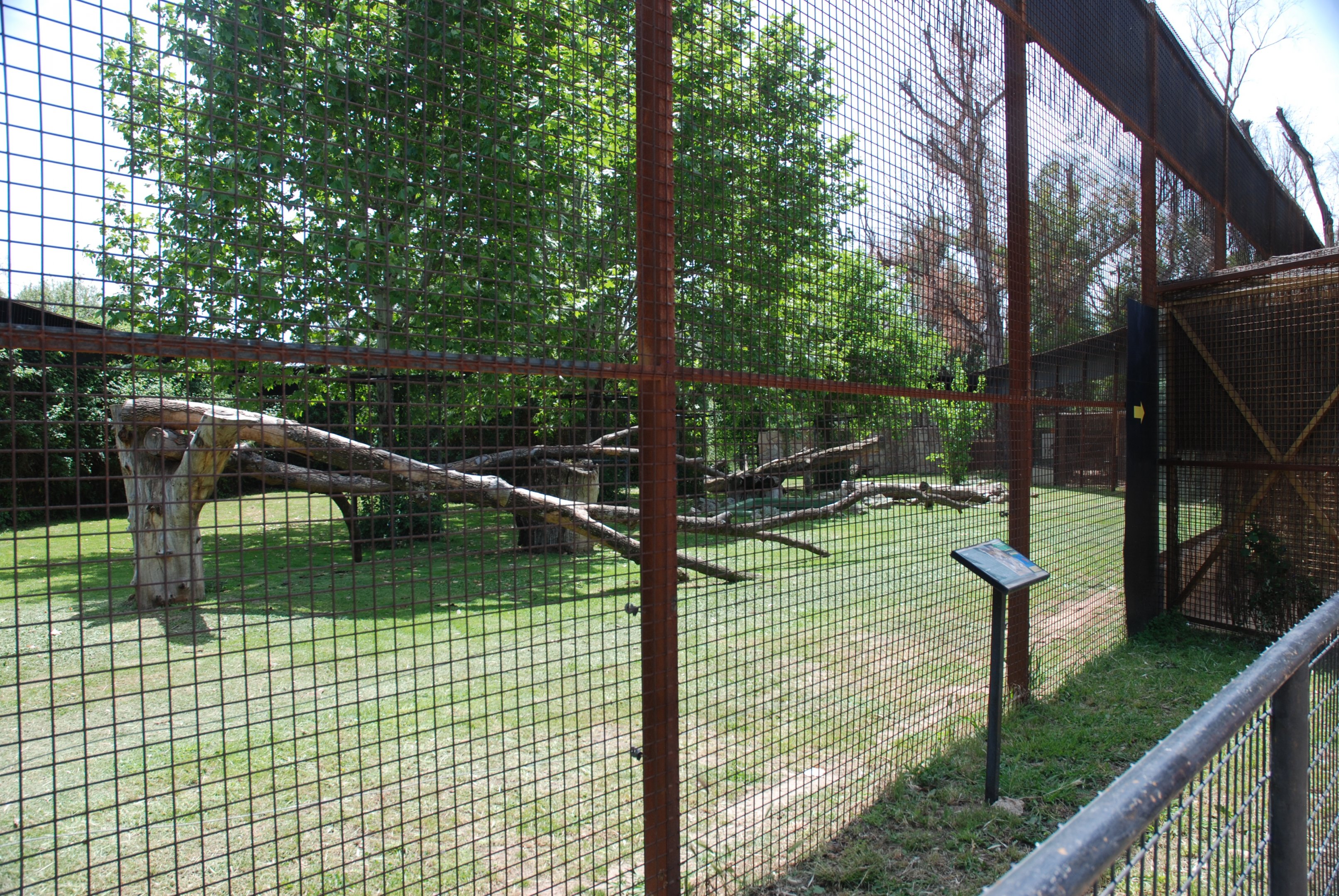 Jaguar Enclosure at Safari Madrid, 19th May 2022