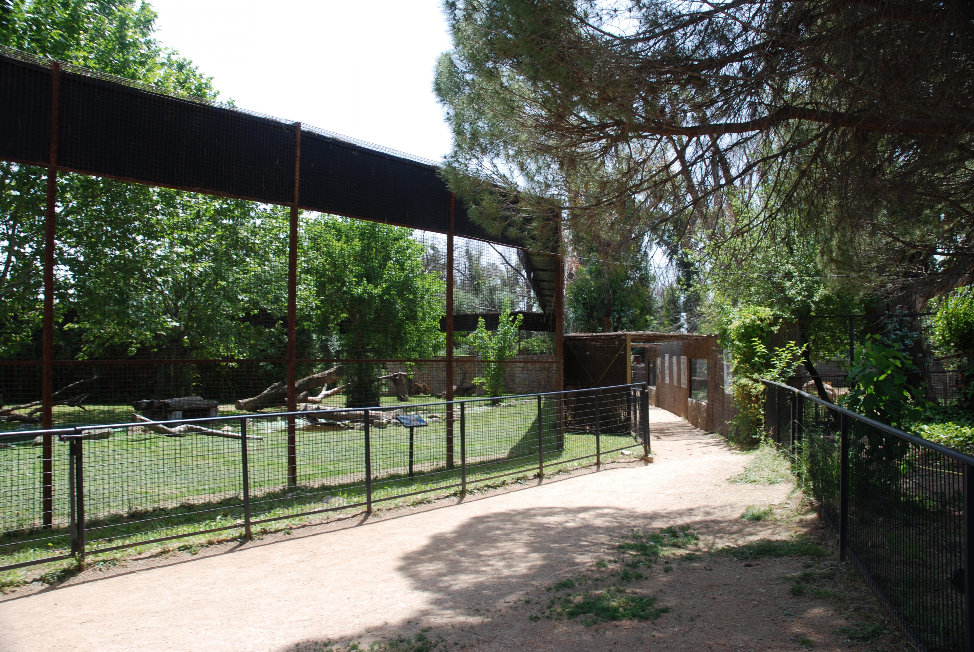 Jaguar Enclosure at Safari Madrid, 19th May 2022