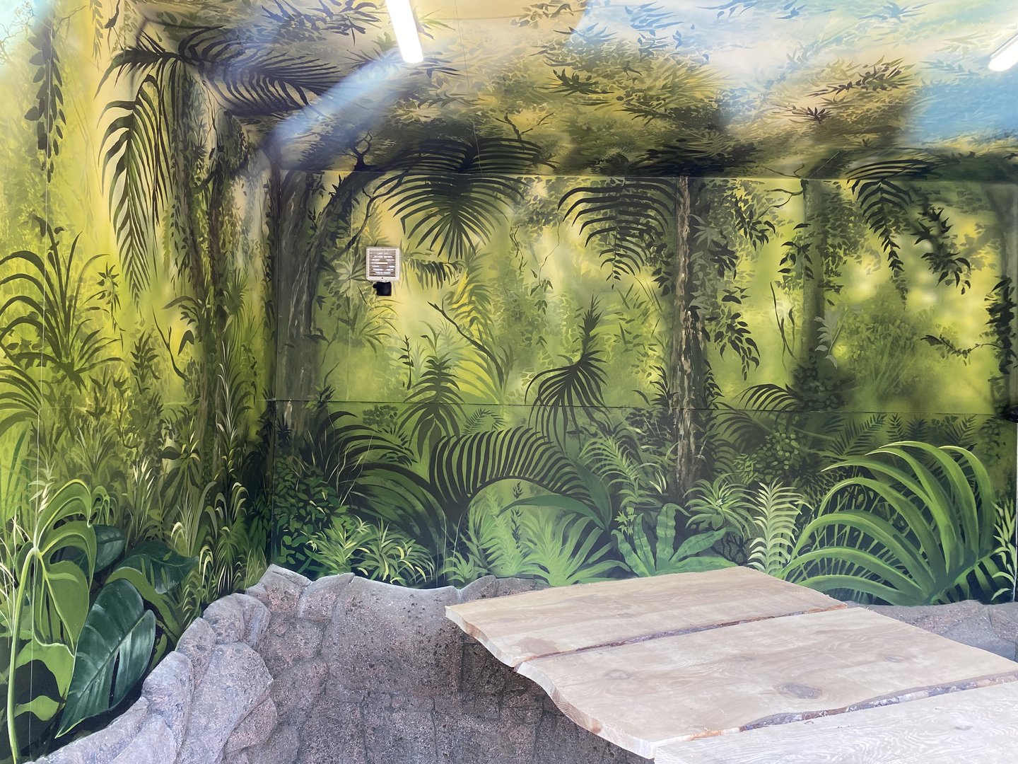 Jaguar enclosure inside platform viewing PWP