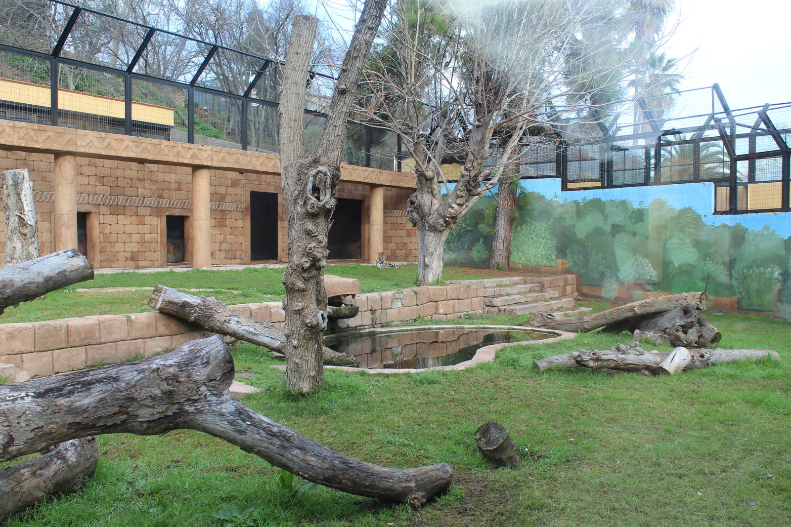 Jaguar Enclosure - Jan 2014