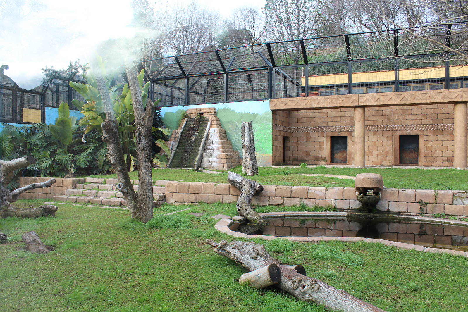 Jaguar Enclosure - Jan 2014