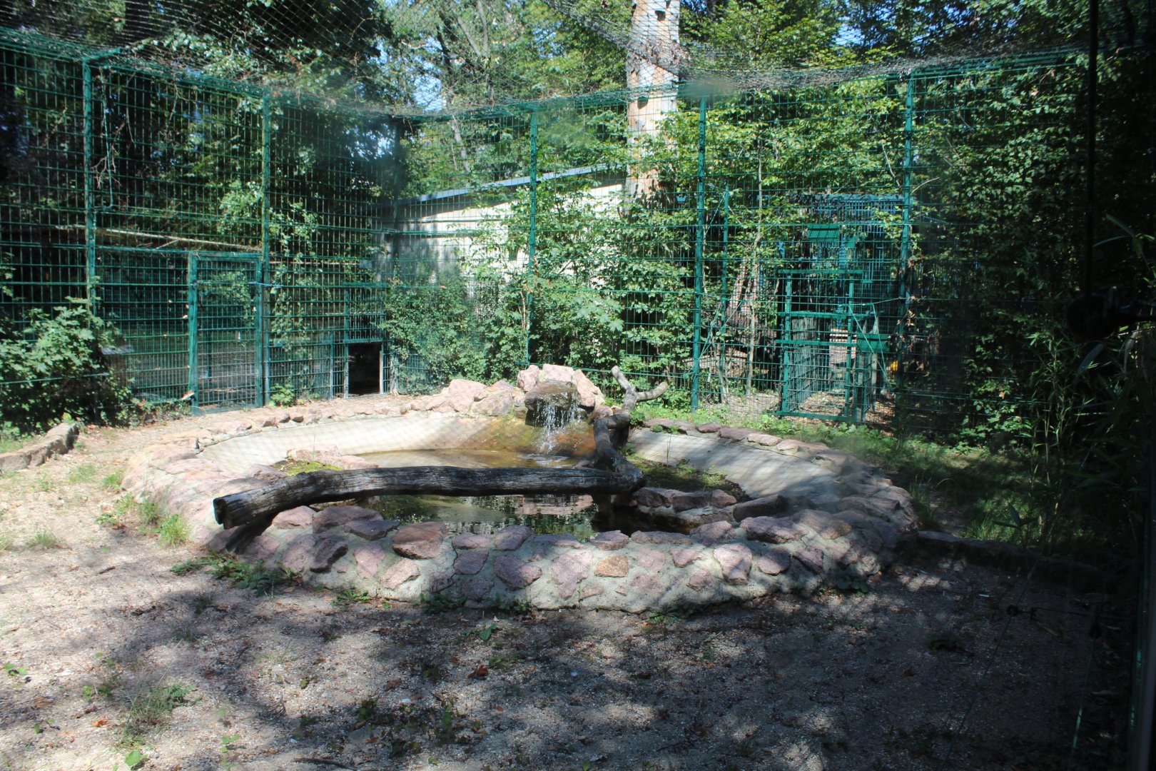Jaguar Enclosure - July 2019