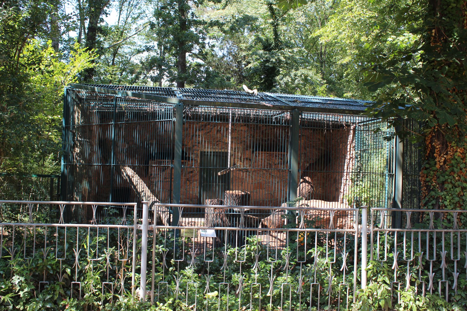 Jaguar Enclosure - July 2019