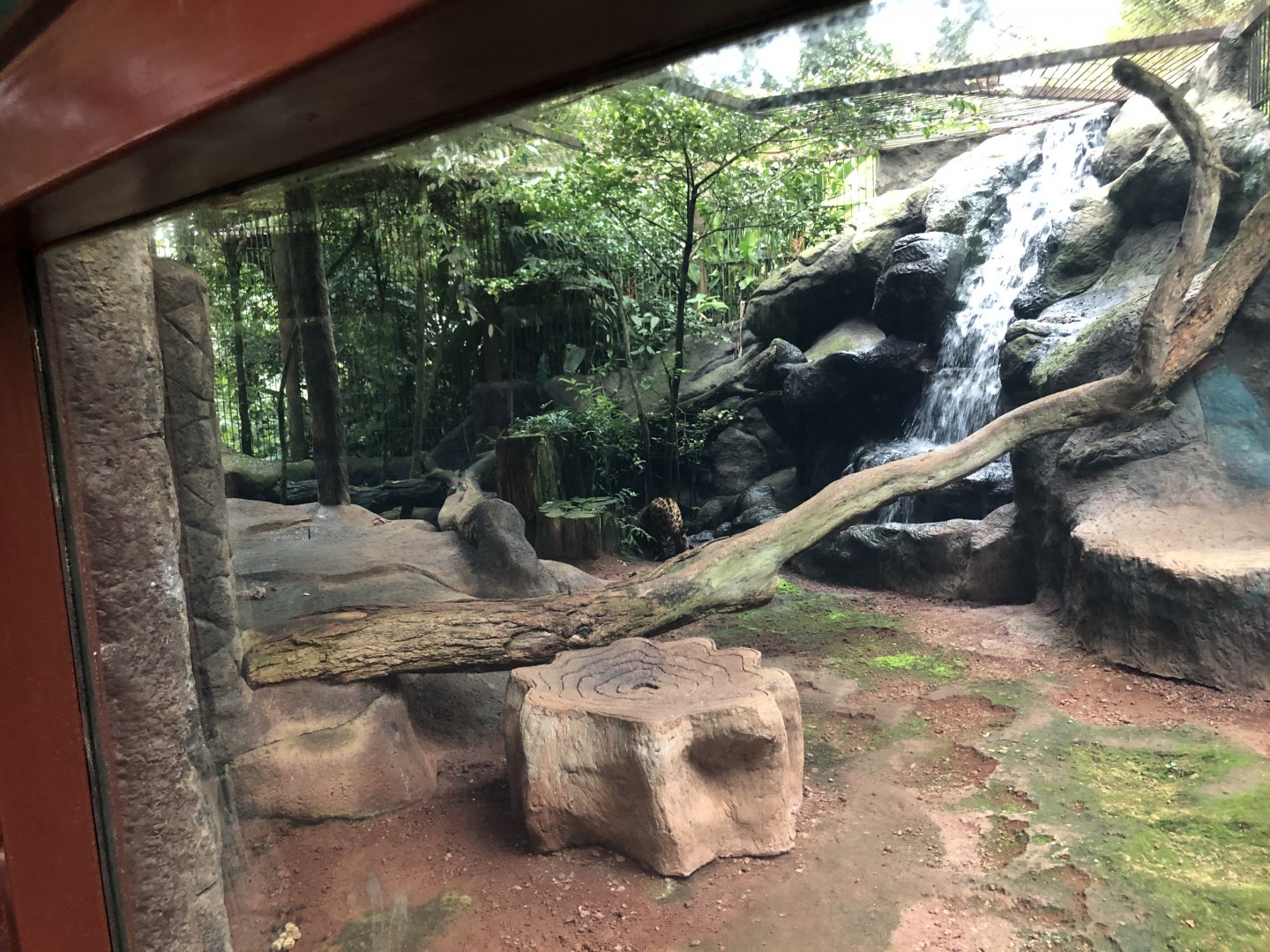 Jaguar Enclosure - Mar 2019