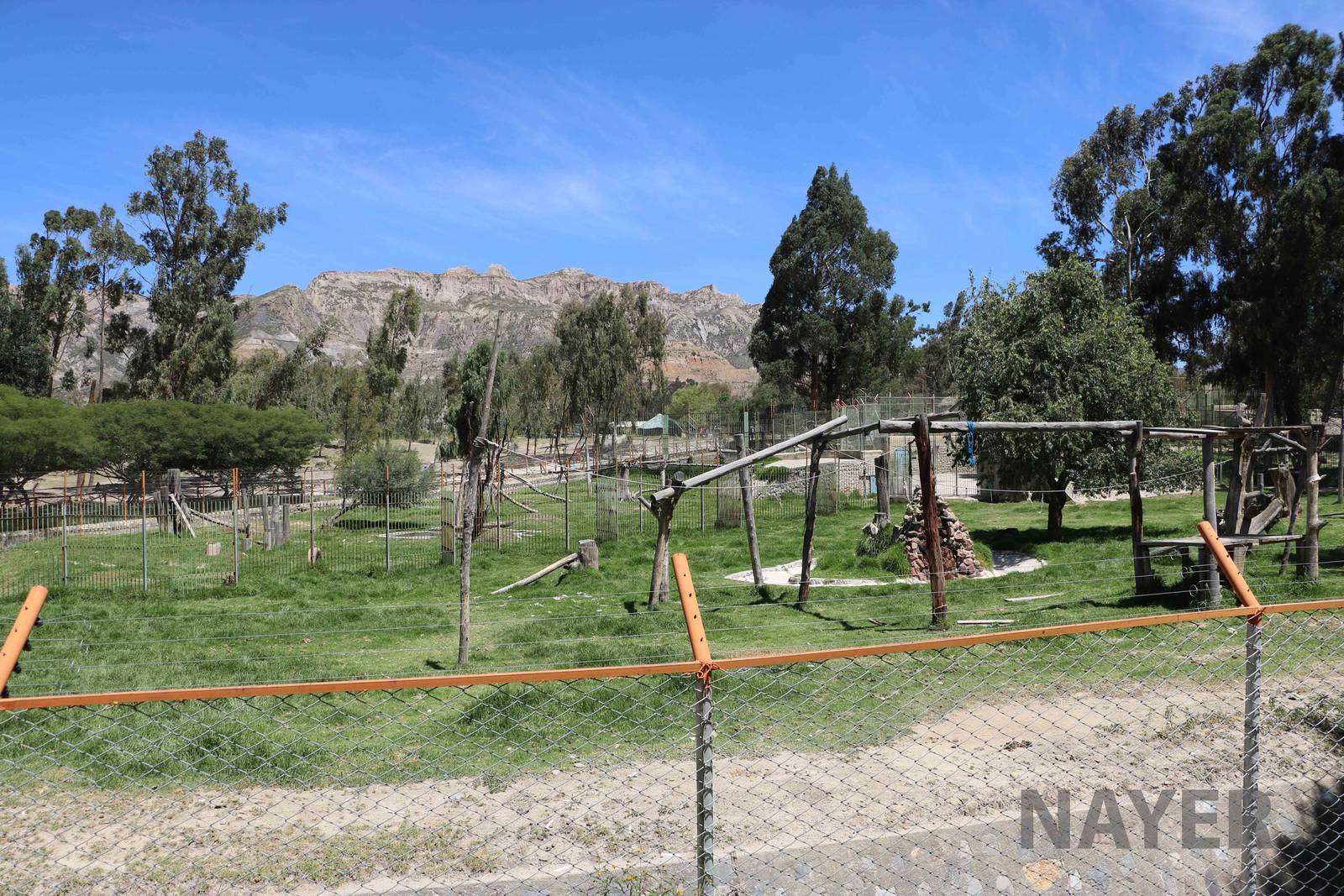 Jaguar enclosure, March 2016